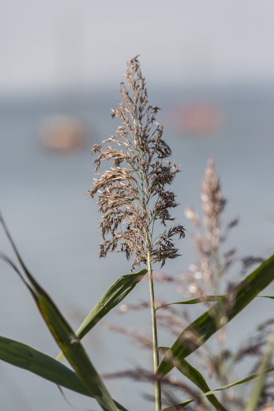 Profilbild von Gerhard Bruch