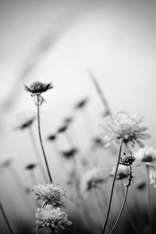 Profilbild von Heinz-R&uuml;diger Braach