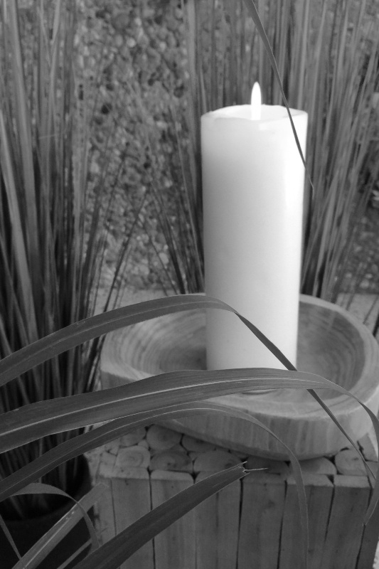 Profilbild von Wilma Schmidt